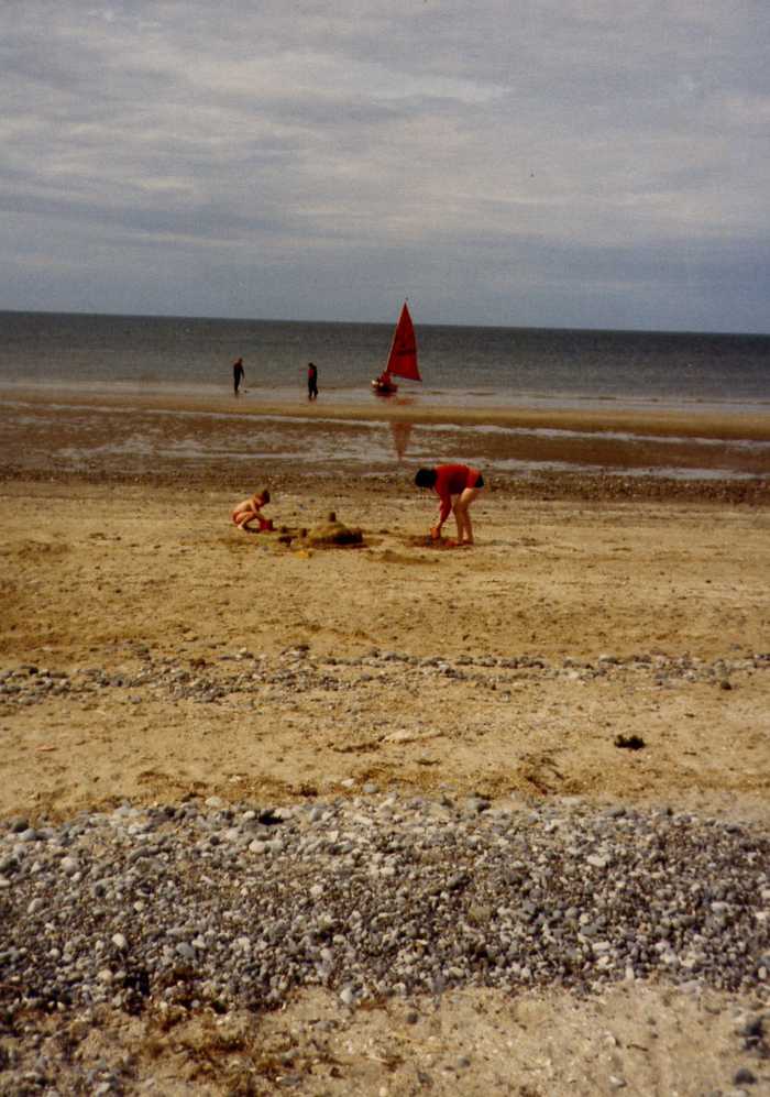 Chris Andrews