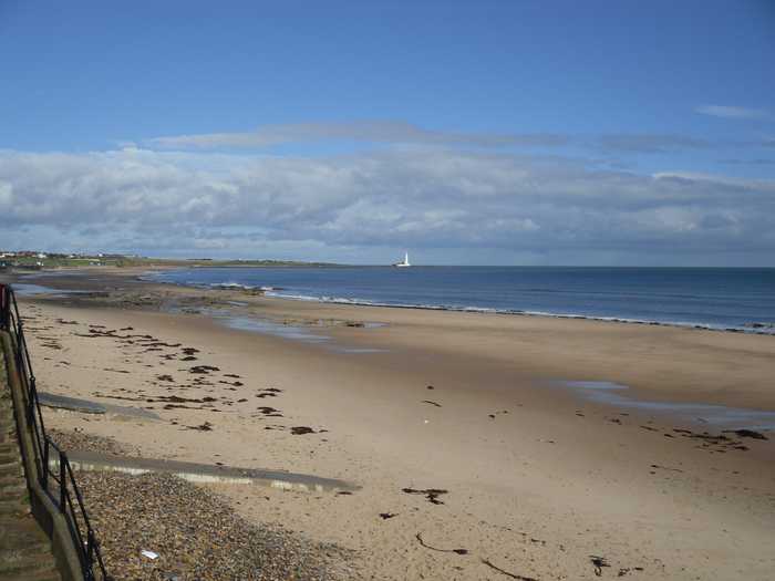 Iain Lees