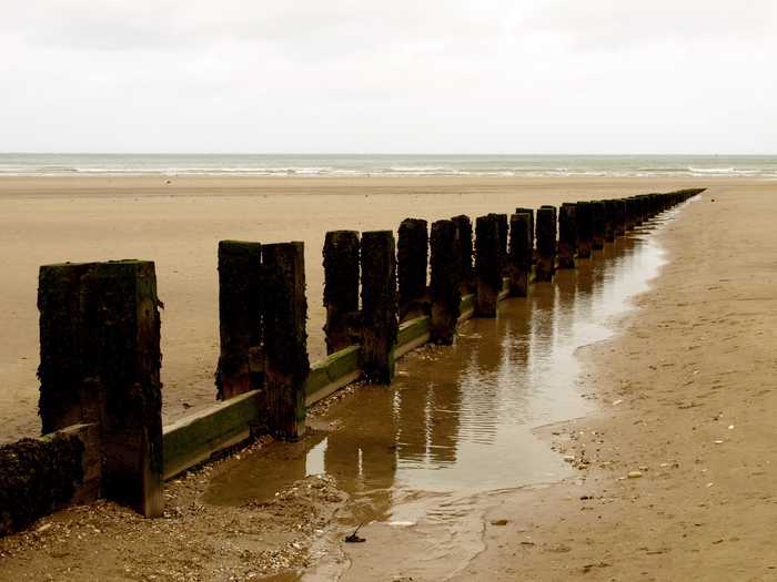 Andy Beecroft